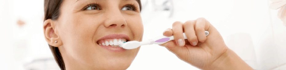 facts about gums